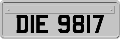 DIE9817