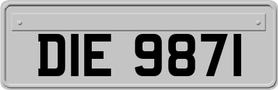 DIE9871