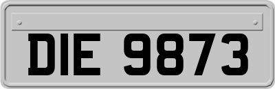DIE9873