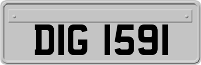DIG1591