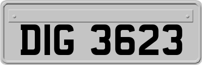 DIG3623