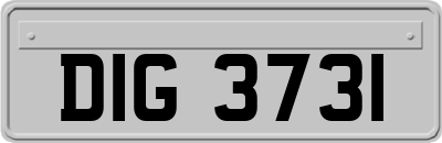 DIG3731