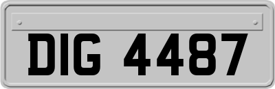 DIG4487