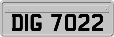 DIG7022