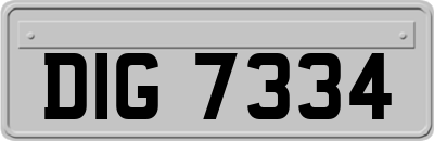 DIG7334
