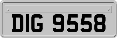 DIG9558