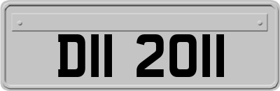 DII2011