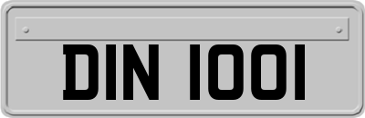DIN1001