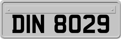 DIN8029