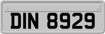 DIN8929