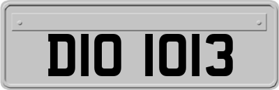 DIO1013