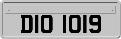 DIO1019