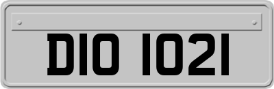 DIO1021