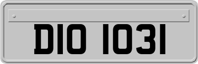 DIO1031