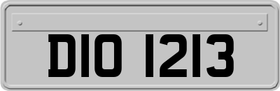 DIO1213