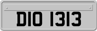 DIO1313