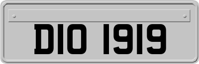 DIO1919