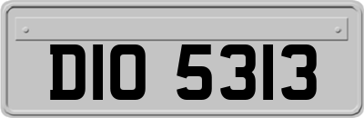 DIO5313