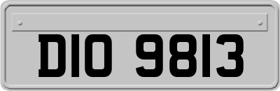 DIO9813