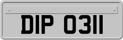 DIP0311