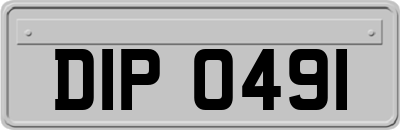 DIP0491