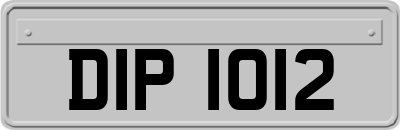 DIP1012