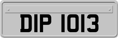 DIP1013