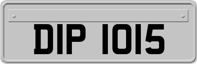 DIP1015