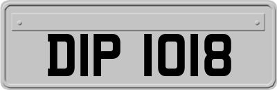 DIP1018