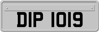 DIP1019