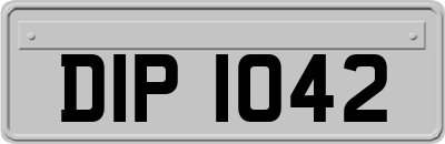 DIP1042