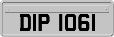 DIP1061