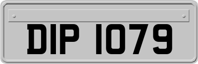 DIP1079