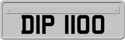 DIP1100