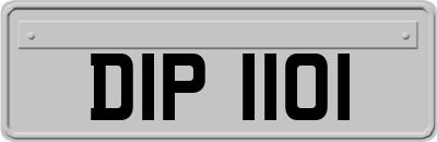 DIP1101