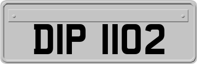 DIP1102