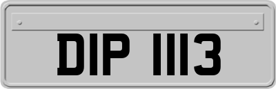 DIP1113