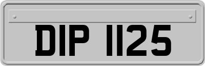 DIP1125