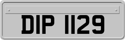 DIP1129