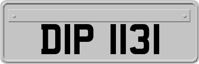 DIP1131