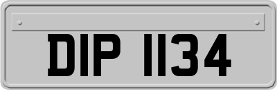 DIP1134