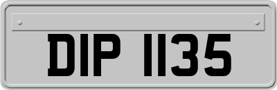 DIP1135