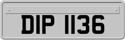 DIP1136