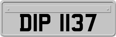 DIP1137