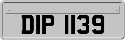 DIP1139