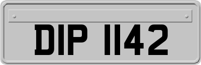 DIP1142