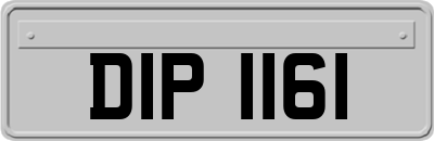 DIP1161