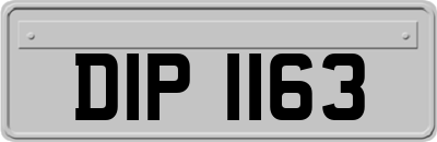 DIP1163