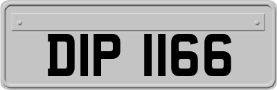 DIP1166