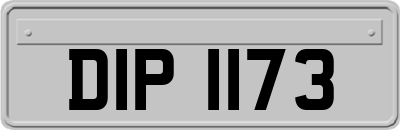 DIP1173